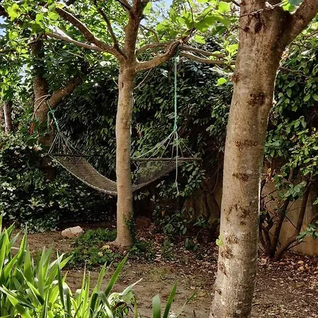 Avec Piscine Et Terrasse Au Calme Vila